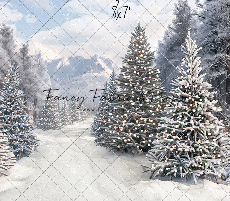 Snowy Tree Farm Trail - Room