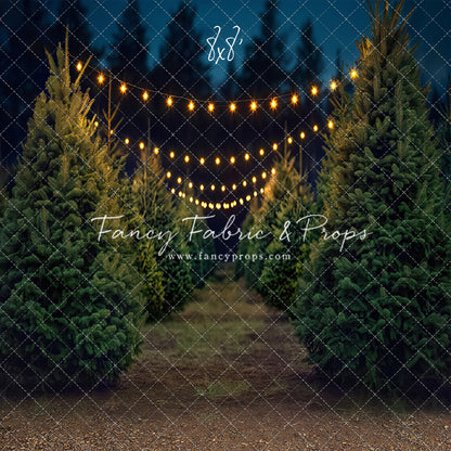 Pine Ridge Farm - Room