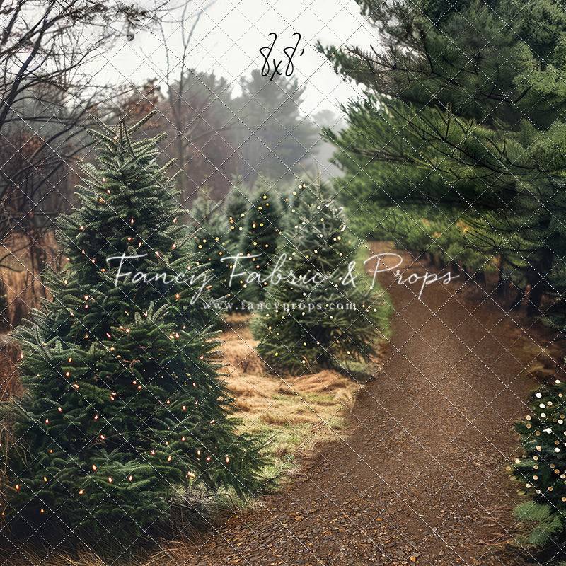 Rustic Tree Farm Trail