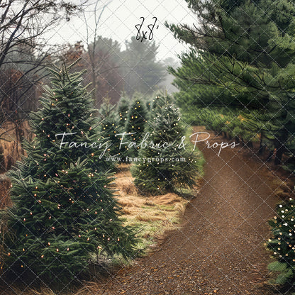 Rustic Country Tree Farm - Room