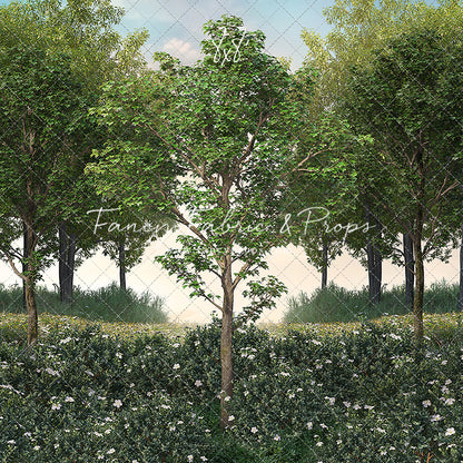 Spring Morning Meadow