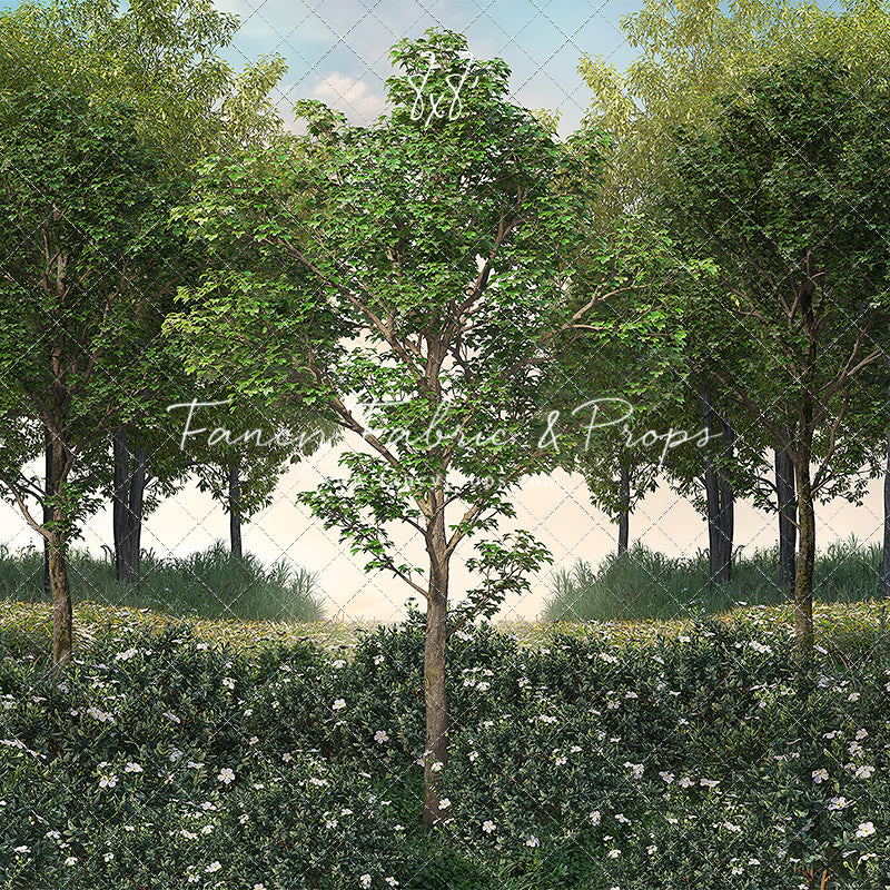 Spring Morning Stroll Room