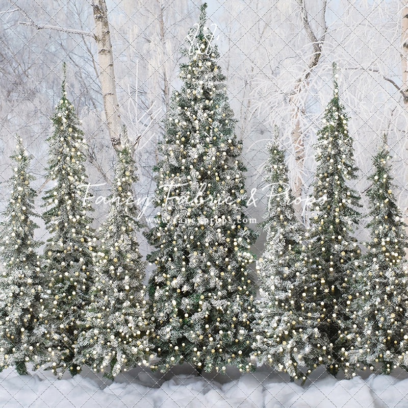 Snowy Tree Farm Entry - 2pc Room