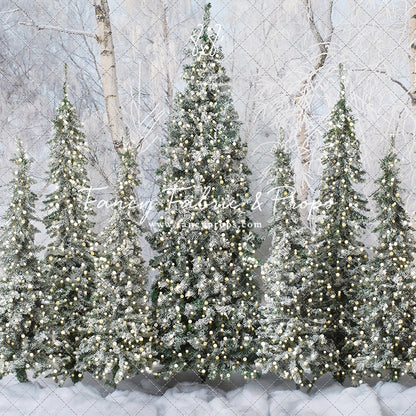 Snowy Tree Farm Entry - 2pc Room