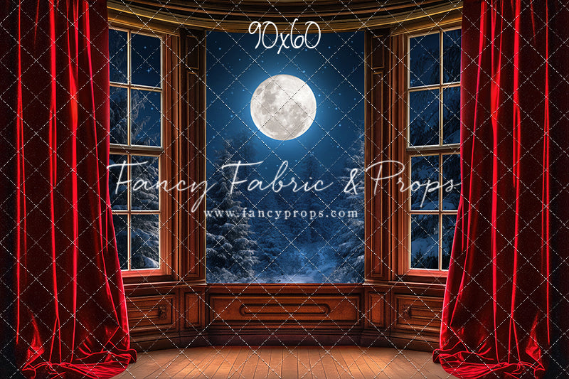 Midnight Christmas View