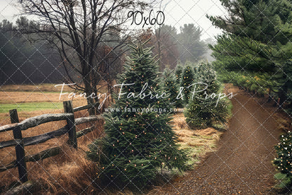 Rustic Tree Farm Trail