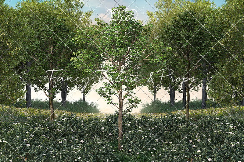 Spring Morning Meadow