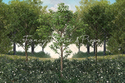 Spring Morning Meadow