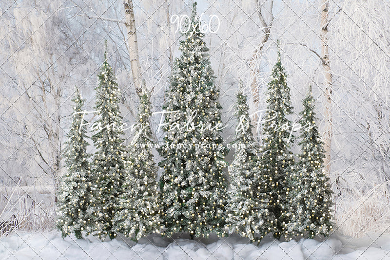 Winter Christmas Barn Forest