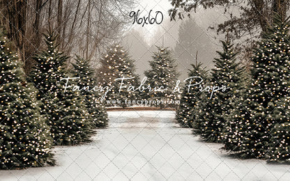 Country Pines Trail with Sweep Option