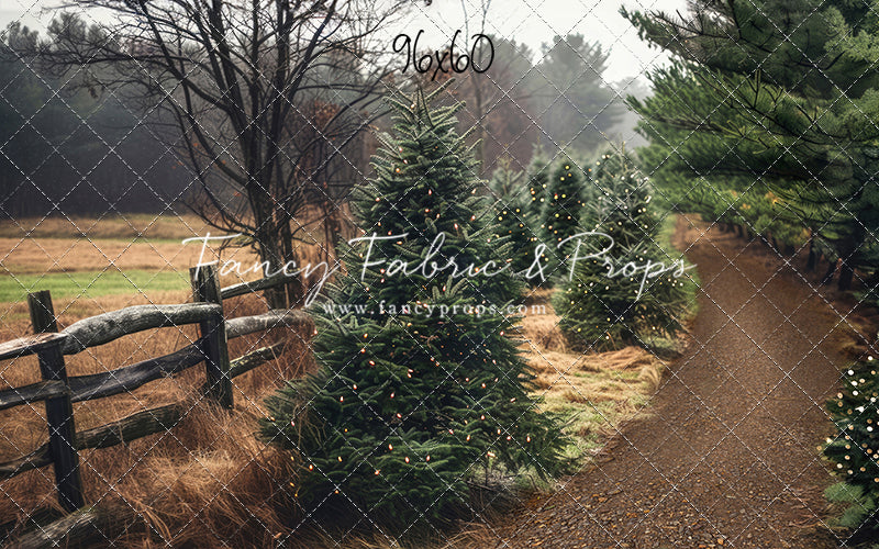 Rustic Tree Farm Trail