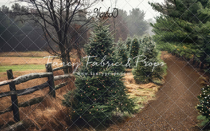 Rustic Tree Farm Trail