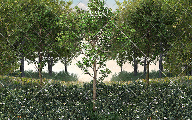 Spring Morning Meadow