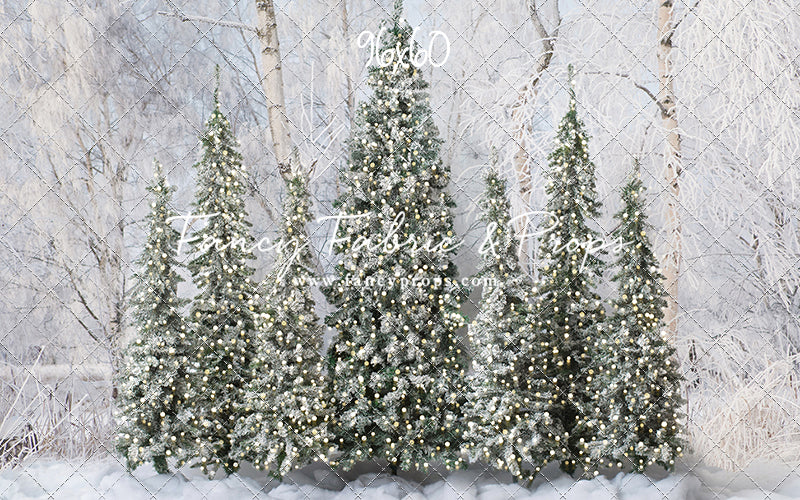 Winter Christmas Barn Forest