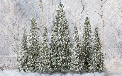 Winter Christmas Barn Forest