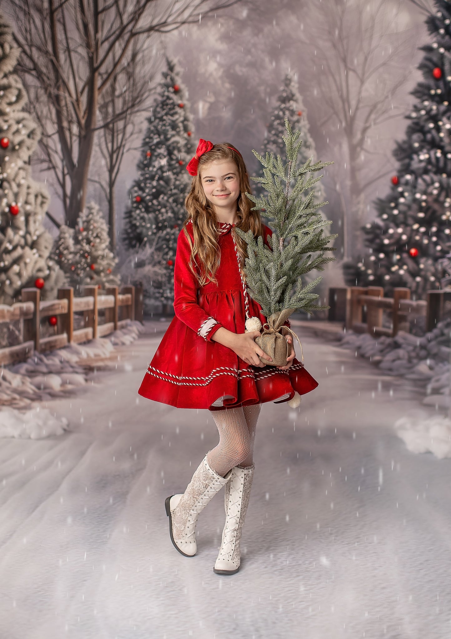 Mistletoe Farms Christmas Tree Stand - Room