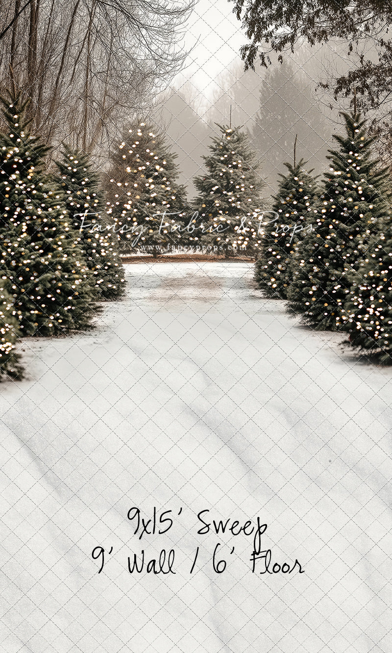 Country Pines Trail with Sweep Option