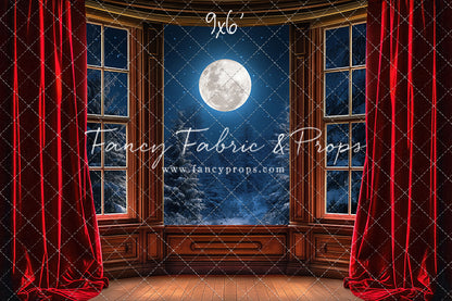 Midnight Christmas View