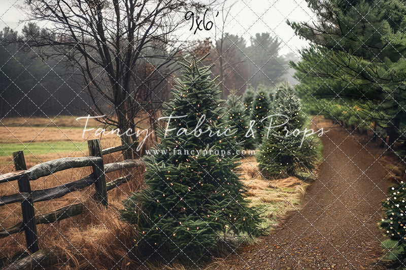 Rustic Tree Farm Trail