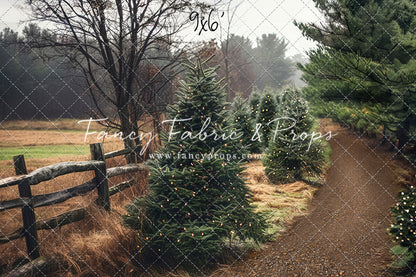 Rustic Tree Farm Trail