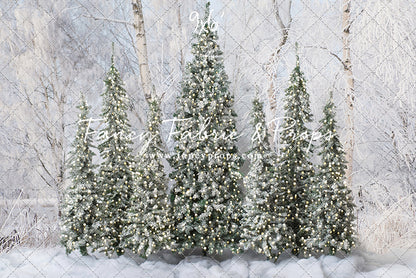 Winter Christmas Barn Forest