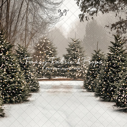 Country Pines Trail with Sweep Option