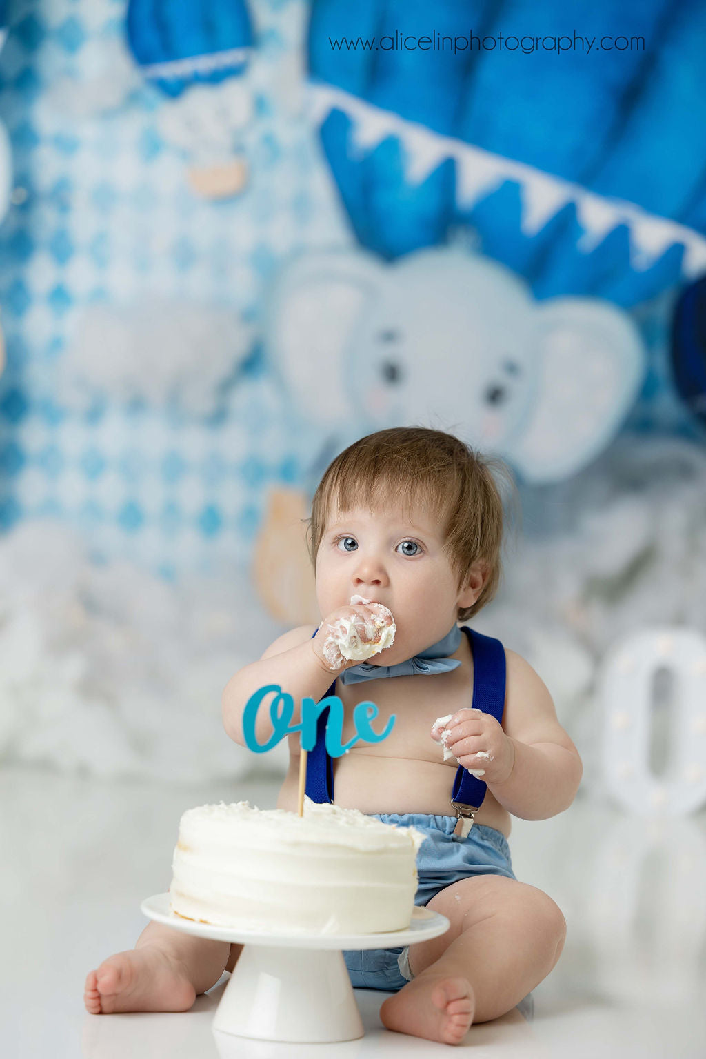 Elephant Balloon Ride