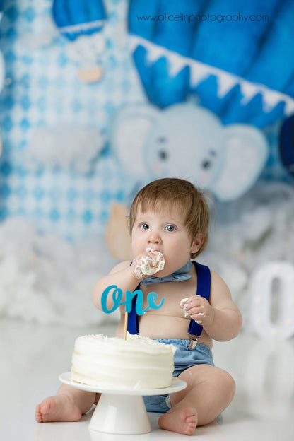 Elephant Balloon Ride