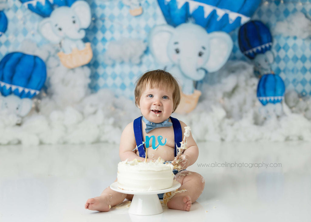 Elephant Balloon Ride
