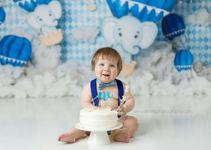 Elephant Balloon Ride