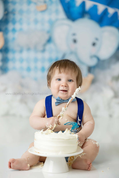 Elephant Balloon Ride