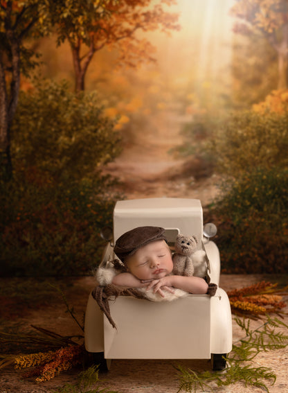 Autumn Forest Path - 2pc Set