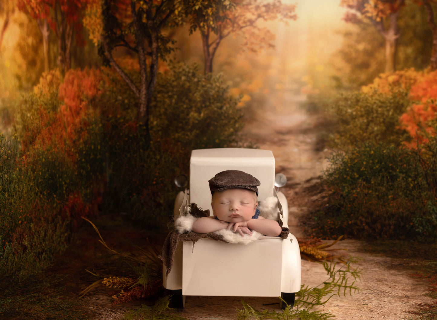 Autumn Forest Path - Mini Room