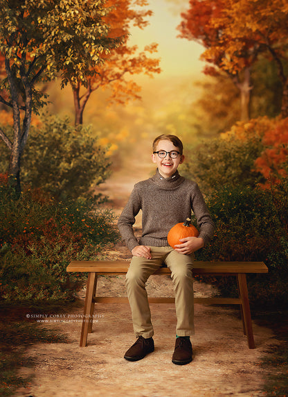 Autumn Forest Path - With Sweep Option