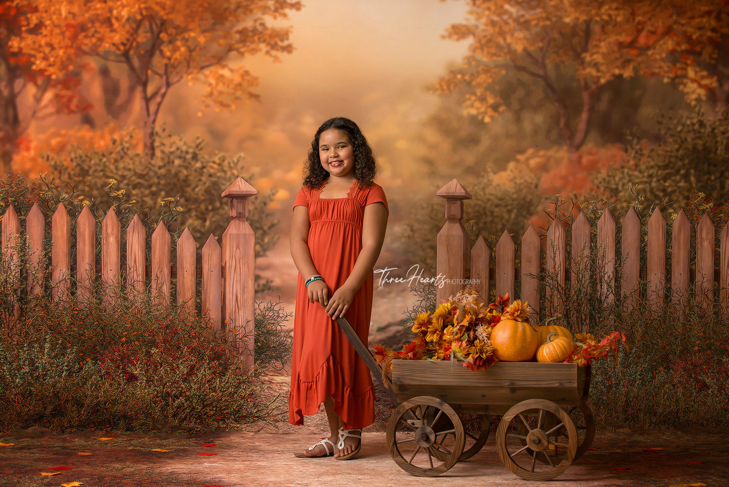 Autumn Forest Trail - 2pc Set