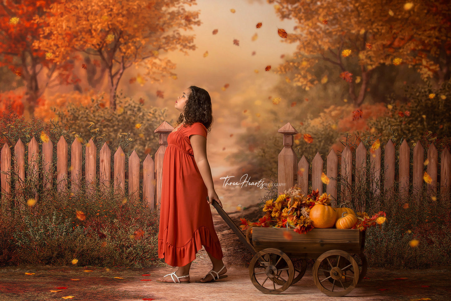 Autumn Forest Trail - 2pc Set