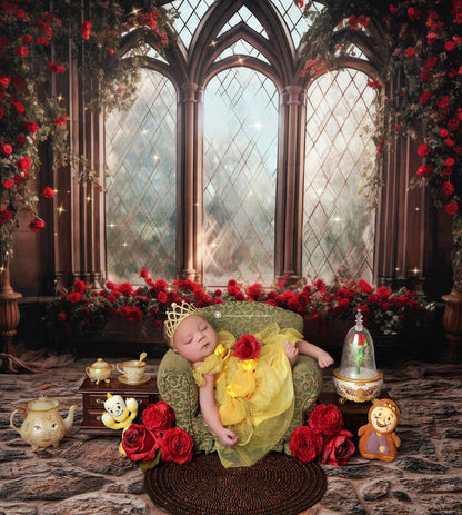Belle's Castle Window 60x50" - Littles Collection
