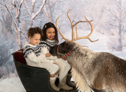 Birch Forest 2pc Room