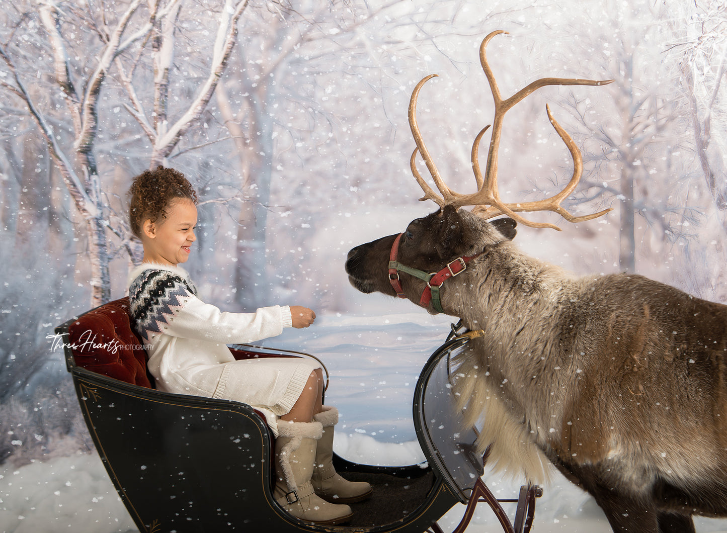 Birch Forest 2pc Room