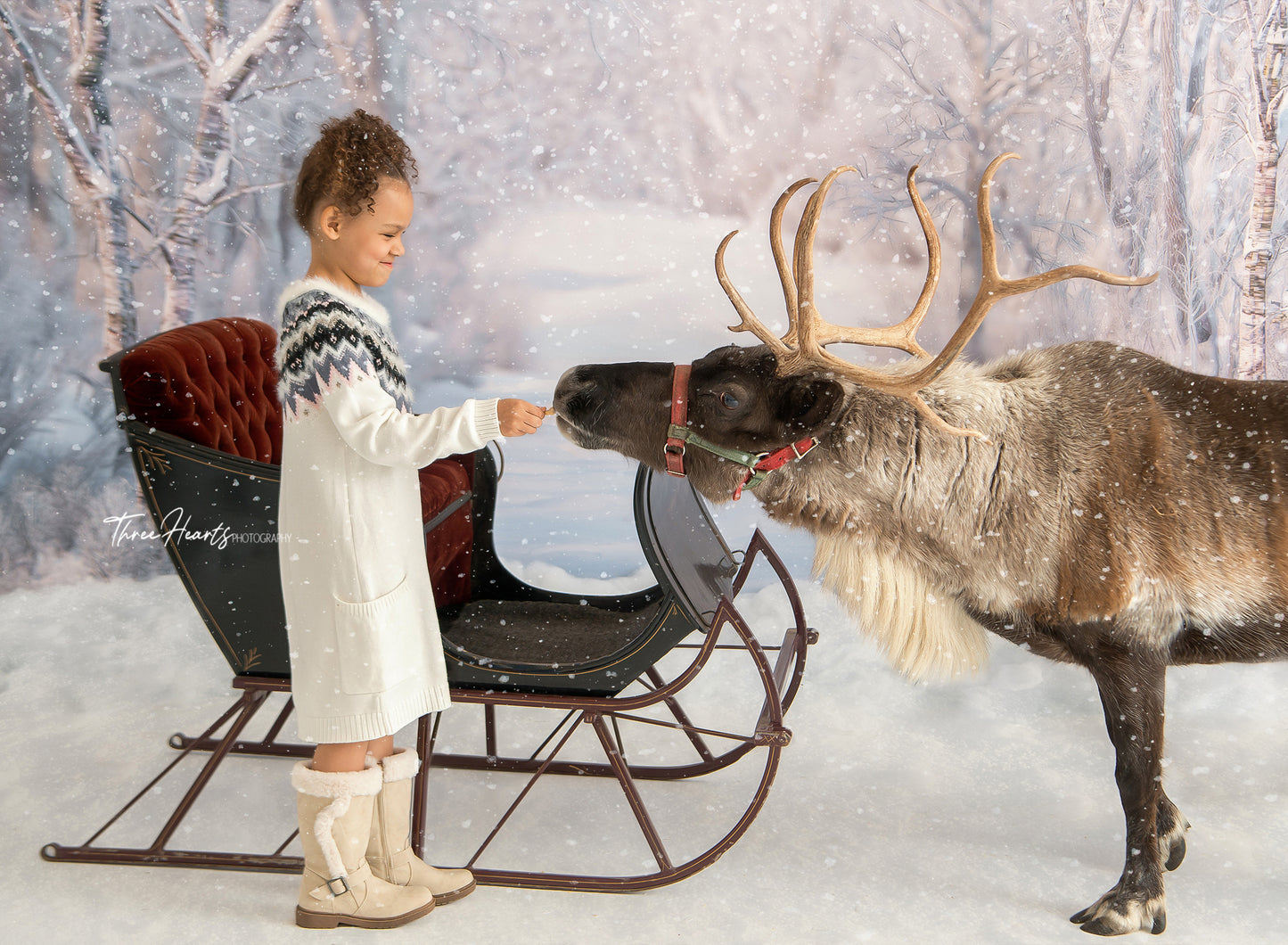 Birch Forest 2pc Room