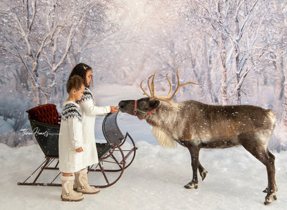 Birch Forest 2pc Room