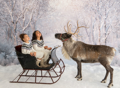 Birch Forest 2pc Room