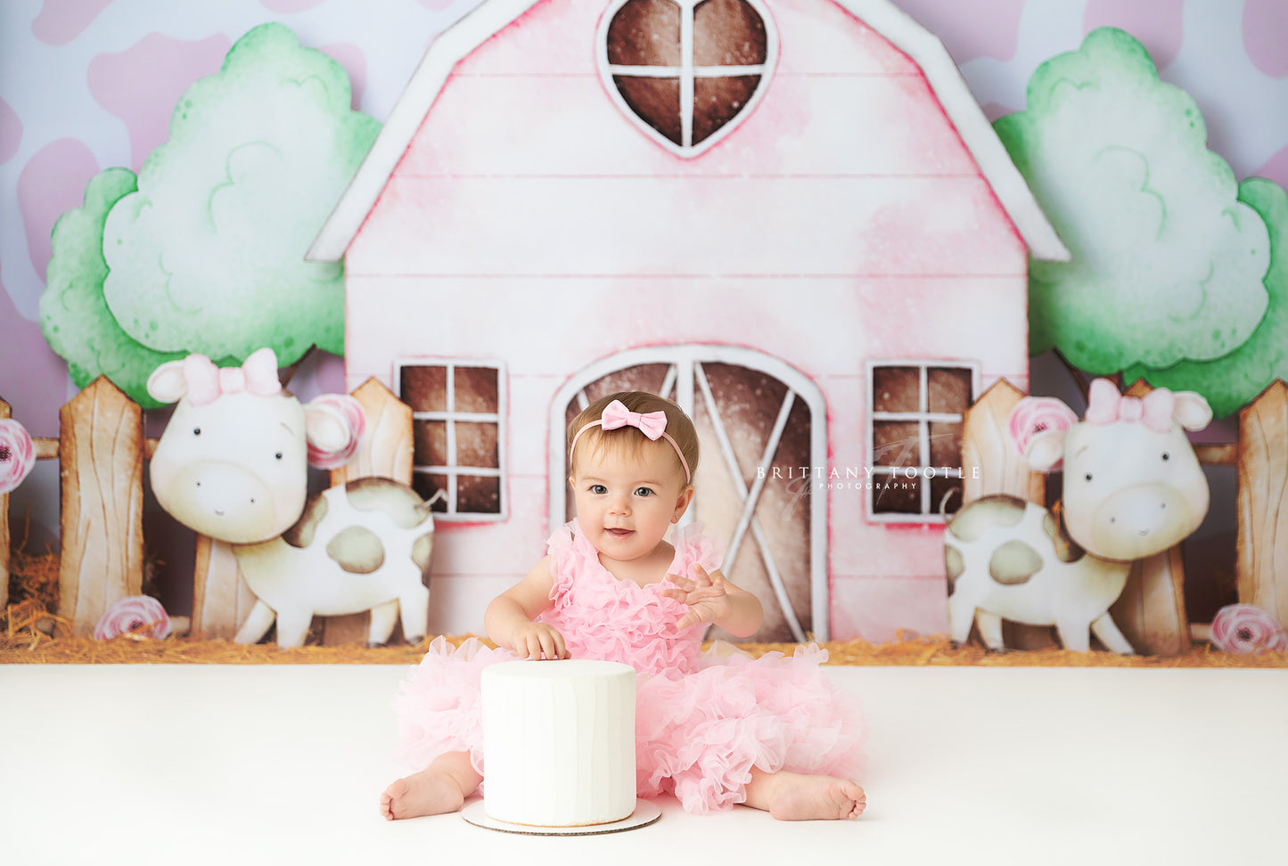 Blushing Barnyard Haven