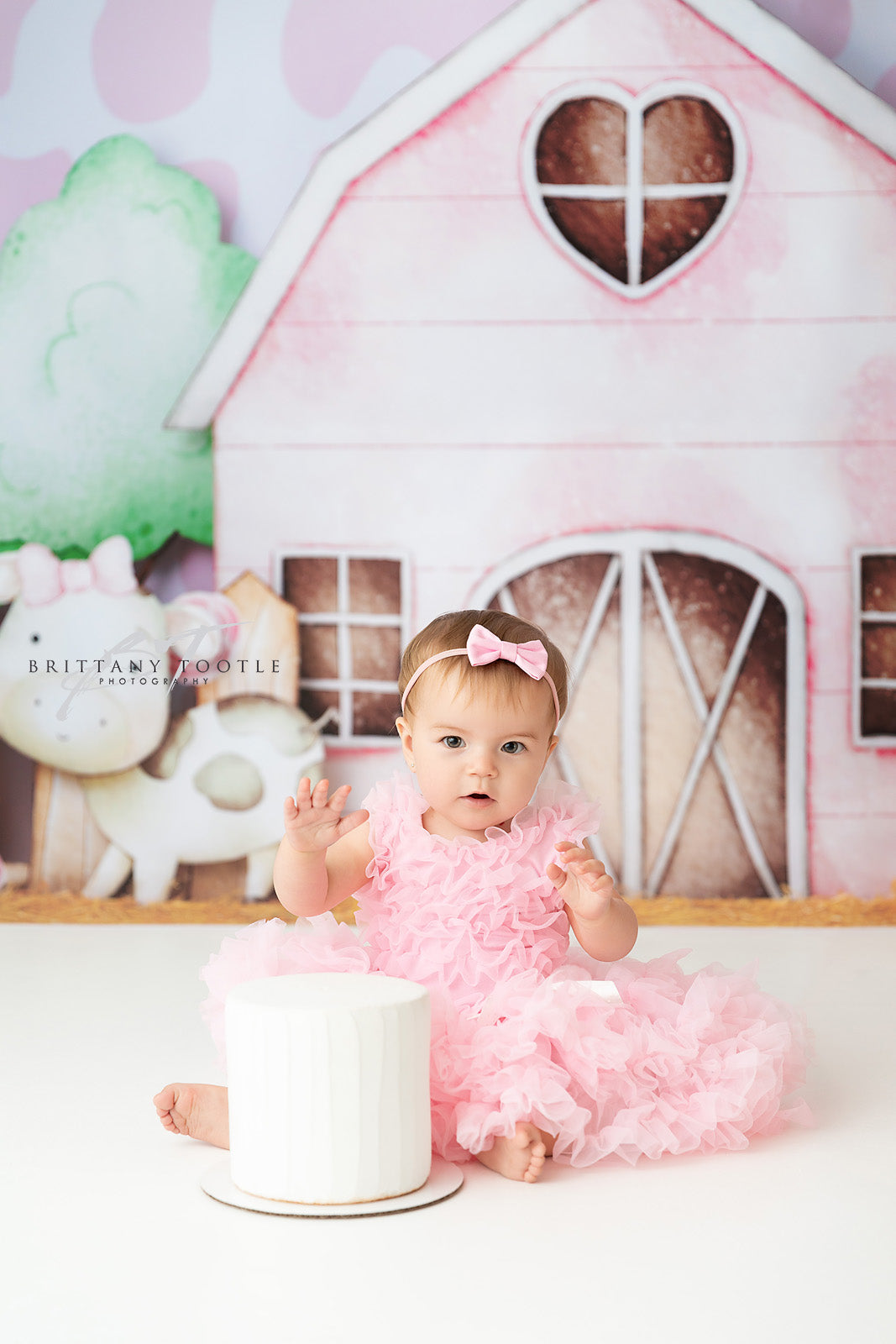 Blushing Barnyard Haven