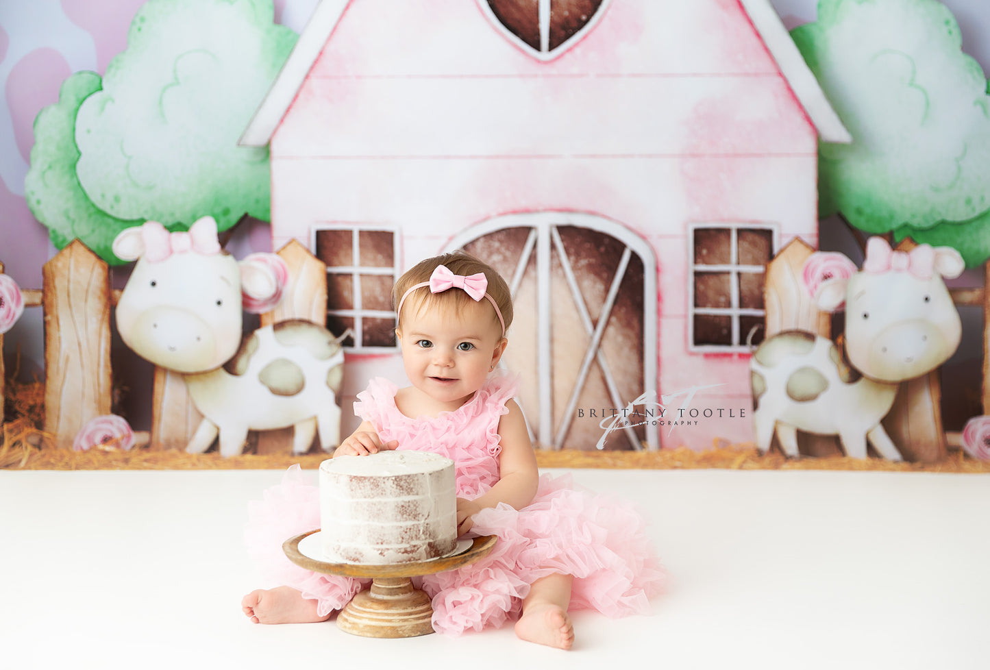 Blushing Barnyard Haven