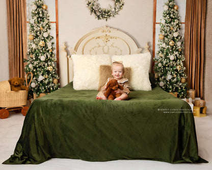 Christmas Morning Elegance - Room