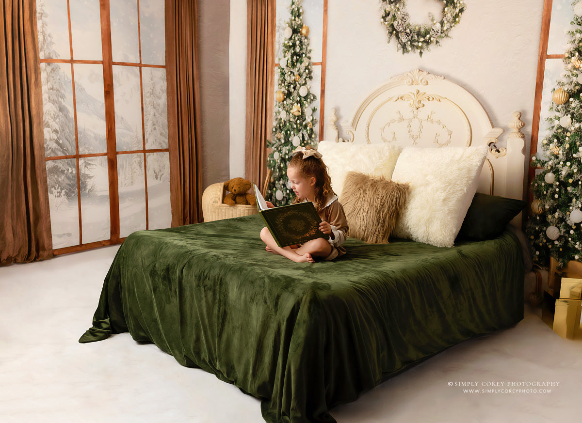 Christmas Morning Elegance - Room