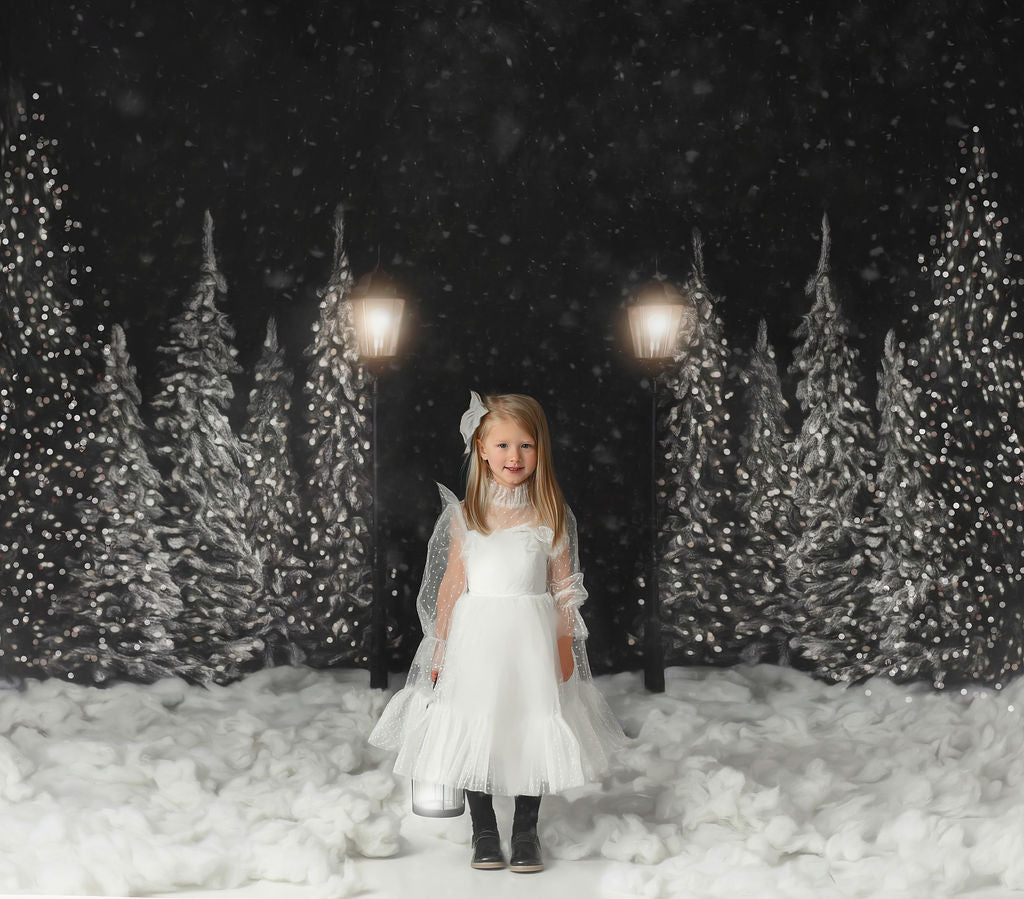 Christmas Forest Path