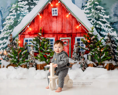 Christmas In The Stables