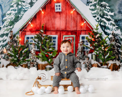 Christmas In The Stables